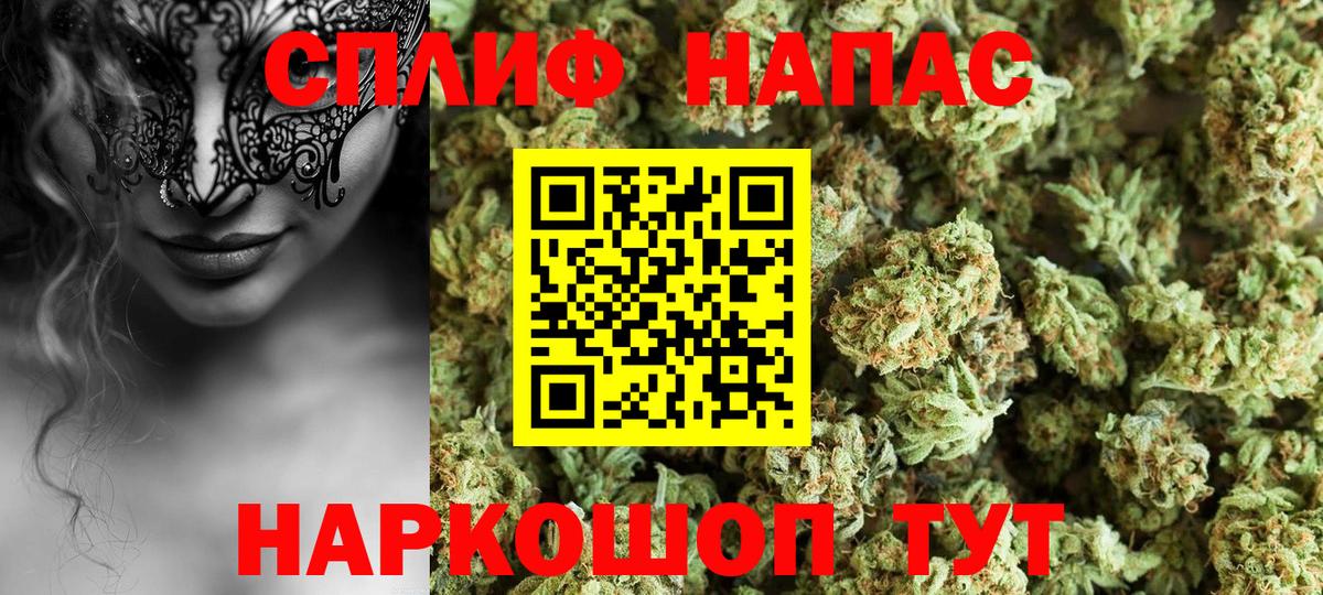 Конопля Ganja  Вход с VPN  МАРИХУАНА гибрид  Черкесск  Канабис сатива 